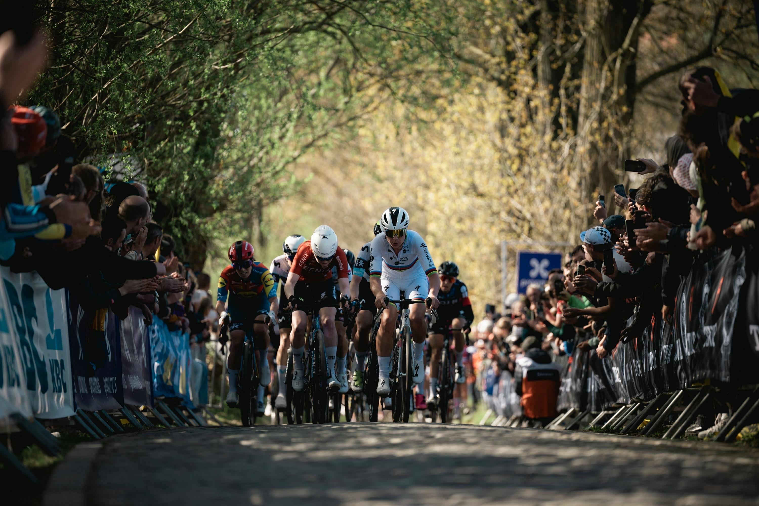 Ronde van Vlaanderen 2025